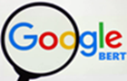 image for BERT, showing edited Google logo