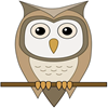 image for IMK of a wise owl