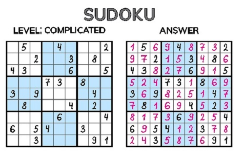 SUDOKU puzzle example