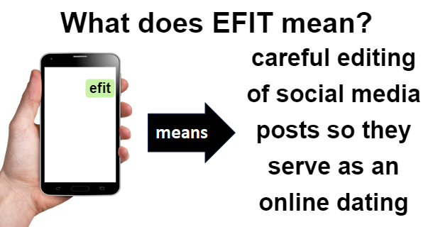 meaning of E-FIT